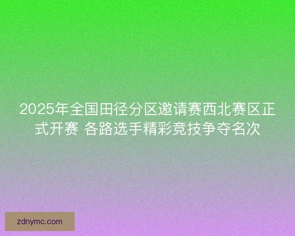 2025年全国田径分区邀请赛西北赛区正式开赛 各路选手精彩竞技争夺名次