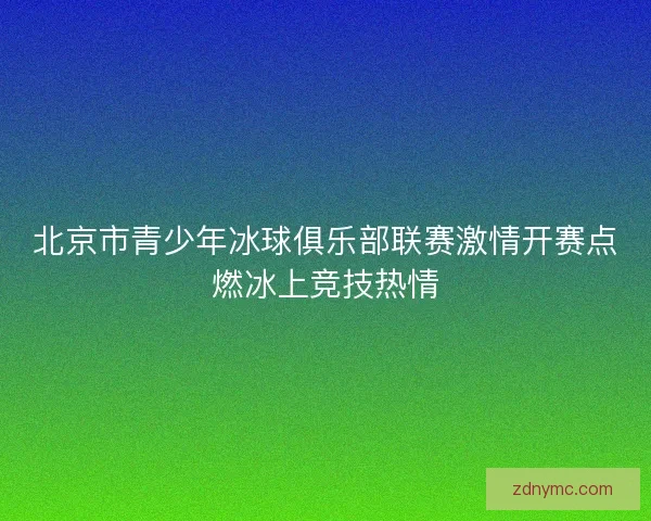 北京市青少年冰球俱乐部联赛激情开赛点燃冰上竞技热情