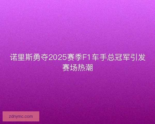 诺里斯勇夺2025赛季F1车手总冠军引发赛场热潮 诺里斯勇夺2025赛季F1车手总冠军引发赛场热潮